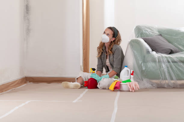 Reliable Mold Remediation contractor in Farmingdale, NJ by 24 Hour Mold Removal